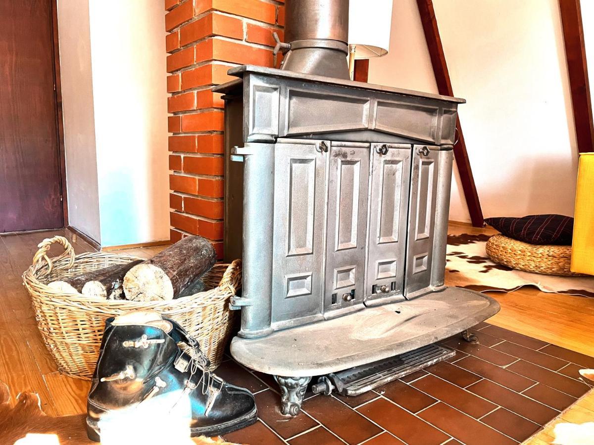 Kuca Na Kopaoniku - Rani Mraz Villa Luaran gambar
